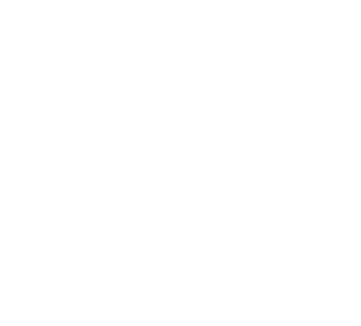 NAIFA_NortheastFlorida-white